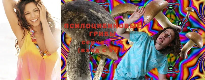 Псилоцибиновые грибы Psilocybine cubensis  Ступино 